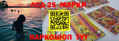 сатива Кингисепп