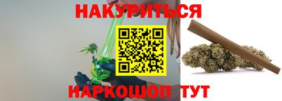 сатива Кингисепп