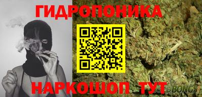 сатива Кингисепп