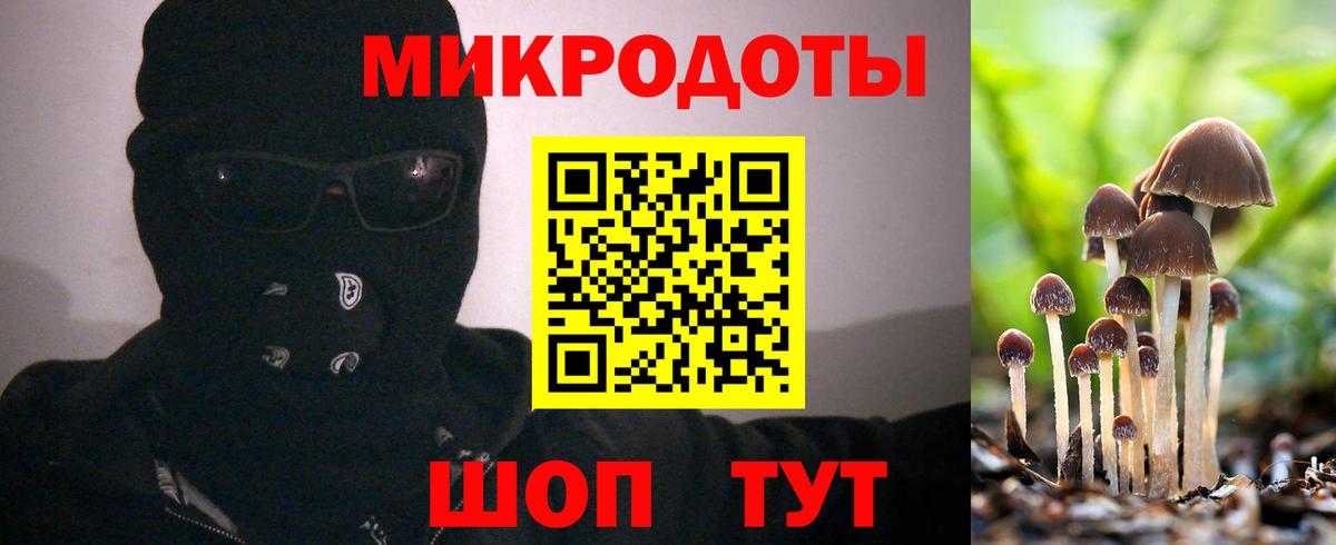 сколько стоит  Псилоцибиновые грибы мухоморы  Вход с VPN  Янаул  Псилоцибиновые грибы мухоморы 